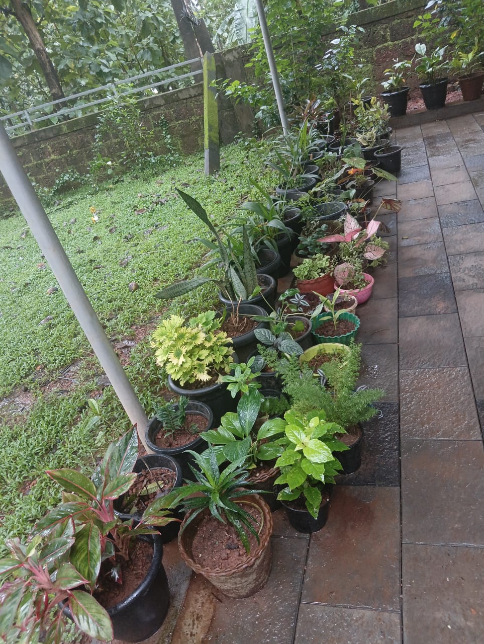 Outdoor photo 5