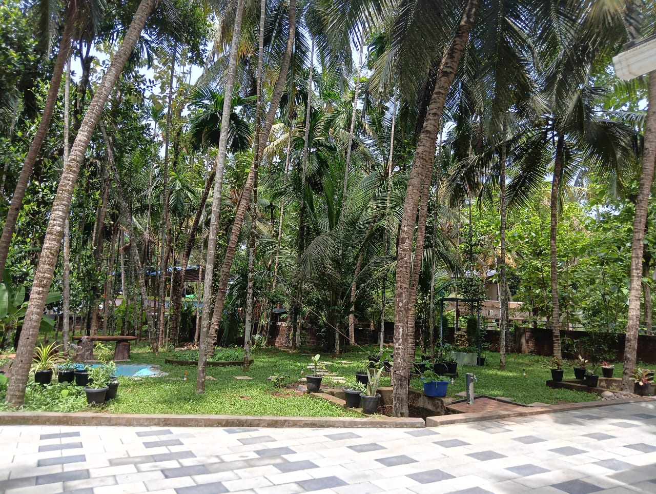 Outdoor photo 9